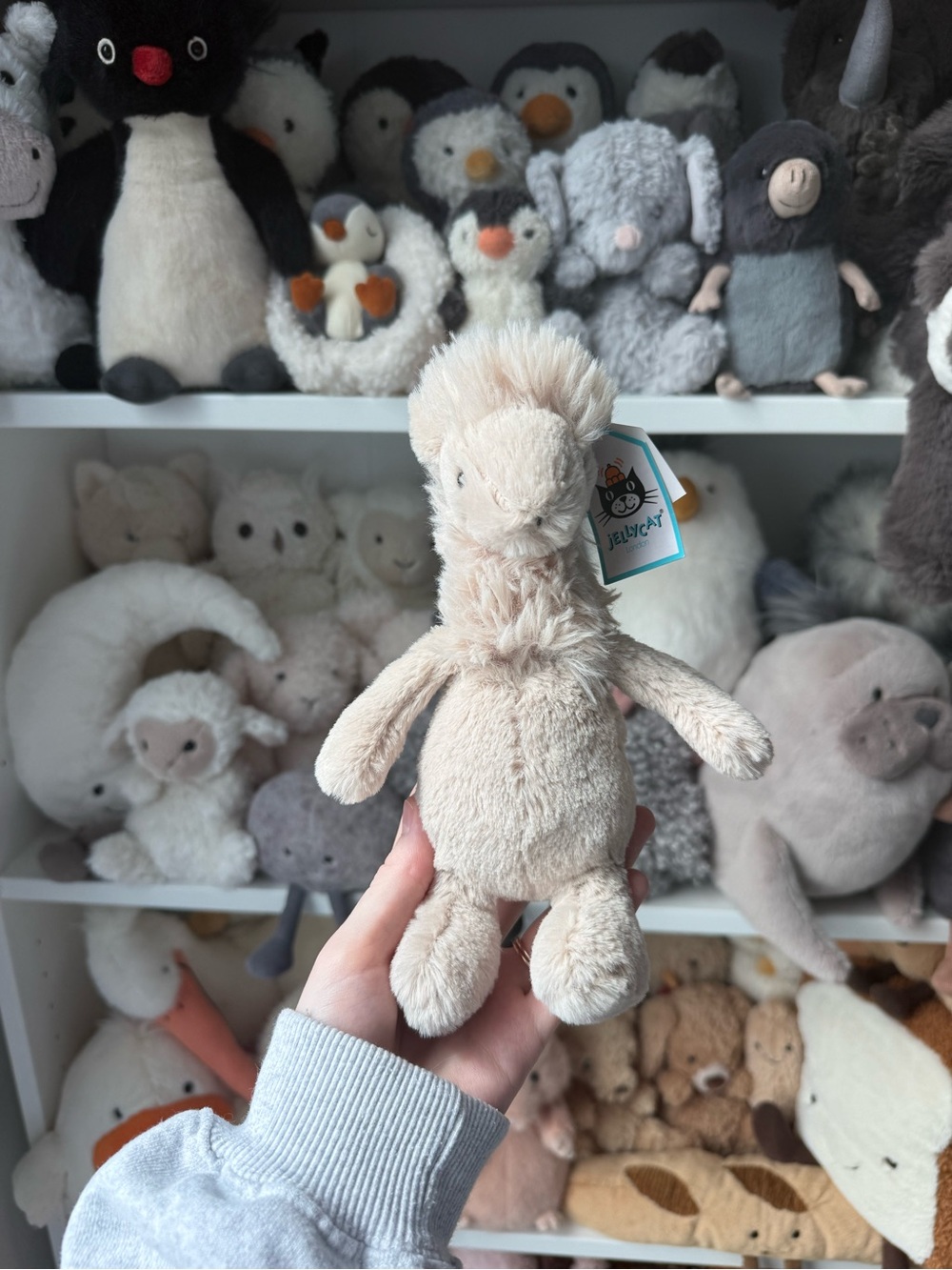 NWT Jellycat Small Bashful Llama